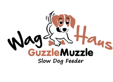 Accessories for your dog